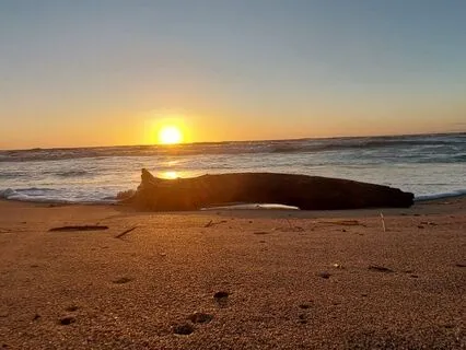 Sankalpa Meditation - Manifest Your Intention