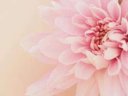 Santosha: Connecting To Inner Contentment Through Softness