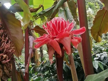 Santosha Meditation, Gratitude Towards The Journey