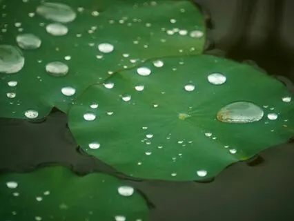 Santosha Talk: Connecting To Inner Contentment