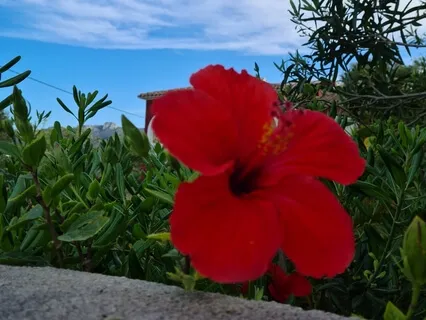 Santosha, True Contentment