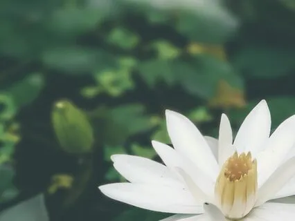 Saraswati Shloka And Mantra With English Translation