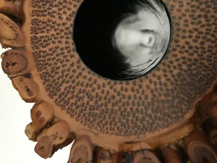 Sashi 薩慈 - Compassion Meditation With Shakuhachi & Bowl