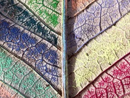 Sat Nam Rasayan Healing For Blissful Chakras