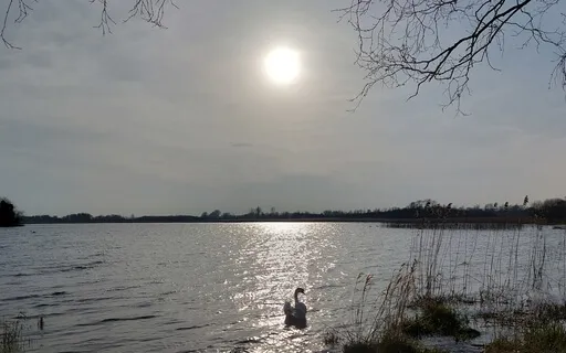 Sat Narayan - For Inner Peace and The Element of Water