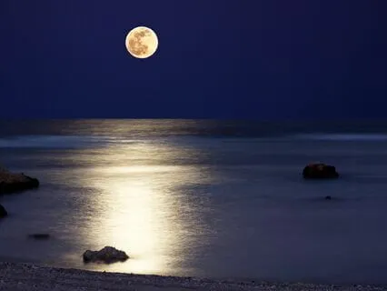 Satie (60 Min Of Calming Piano, Theta Frequencies & Waves)