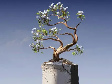 Satori | The Calm Sleep Lofi Beats Collection