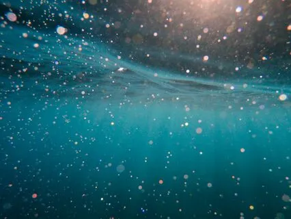 Satsang: Paths To Truth, Bodywork Secrets, And Atlantis