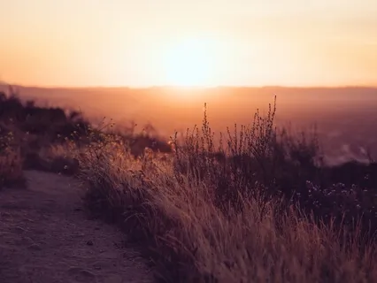 The Zoom Sessions No 1: Saturday Meditation Drop In on 28th March 2020