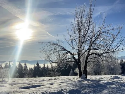 Saucha (Purity, Cleanness)