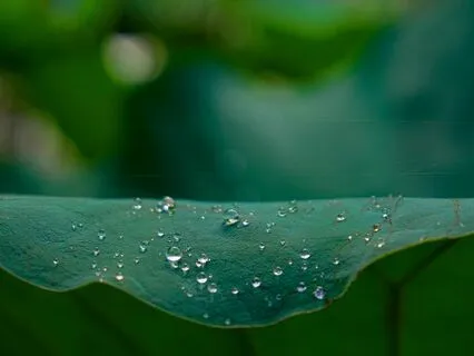 Saucha Talk: Cleanliness, Clarity And Purity Of Self