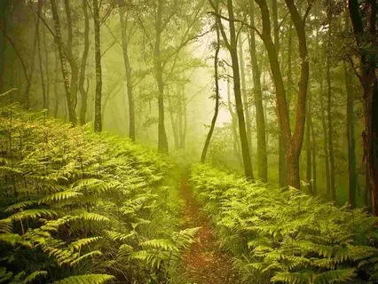 Sauna Meditation | Deepen Your Sauna Experience