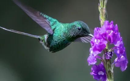 Savasana 4 - Come To Your Senses