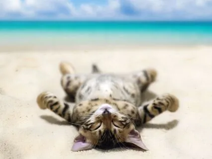 Savasana - Deep Relaxation