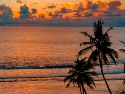 Savasana - Deep Rest And Relaxation