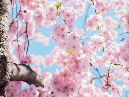 Savasana Relaxation (10 Minutes)