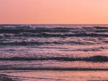 Savasana - Waves Of Relaxation