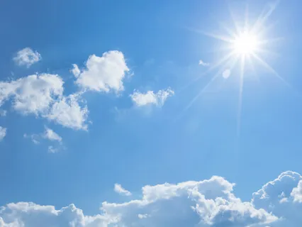 Savor Every Bite: Mindfulness Of Thoughts