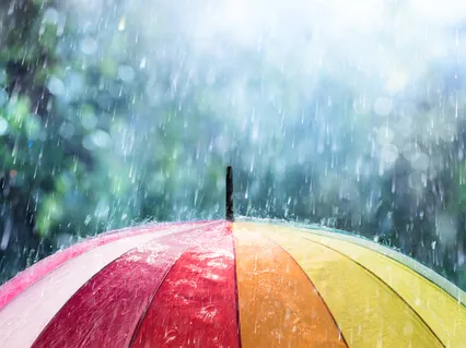 Savor Every Bite: RAIN For Difficult Emotions