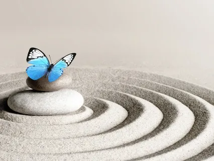 Savor Every Bite: Savor Life Meditation