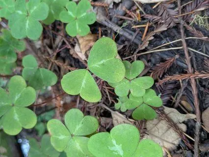 Savor | Mindful Motivation