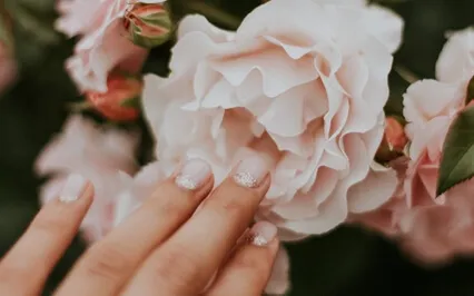 Savor Your Senses --- A Journey To Your Heart