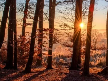 Savoring The Present Moment Music For Stress Relief