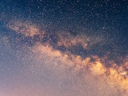 Savouring Nature With The Senses