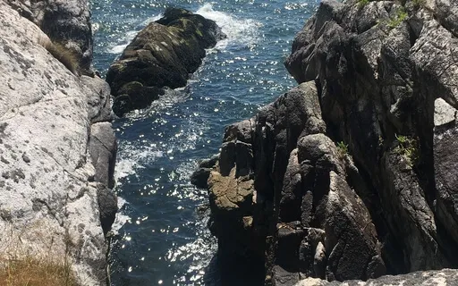 Savouring Sound As Brain Injury Care