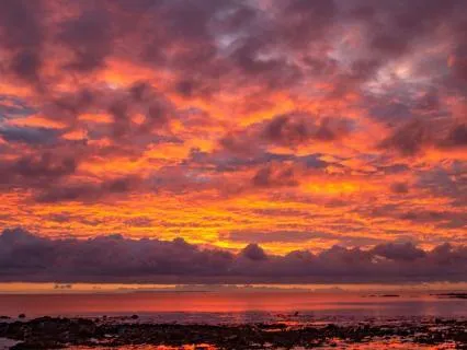 Savouring The Dawn: A Morning Ritual