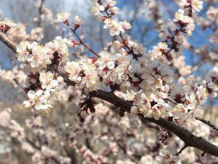 Savouring The Journey - April 26