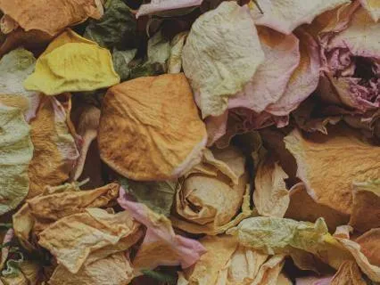 Saw Myint's Two Concepts Of Impermanence To Release Stress