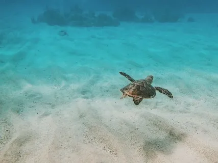 Say Goodbye To Anxiety