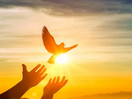 Say Hello To Your Spirit Guides