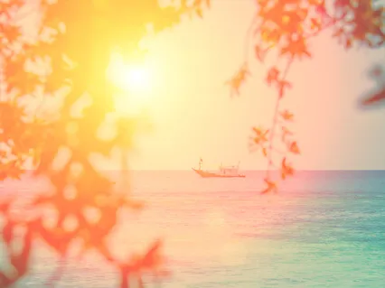 Saying No And Saying Yes