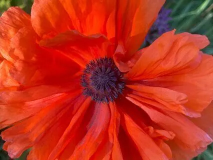 Scanning The Body To Center