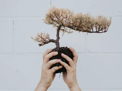 Sacral Chakra Mantra