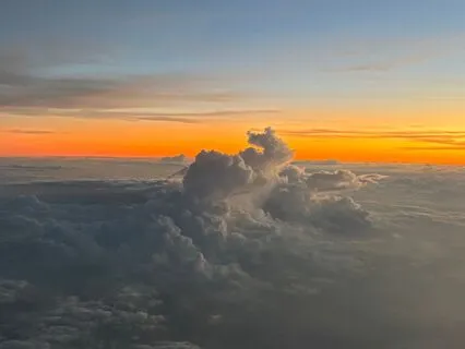 Scarcity Is A Paradox