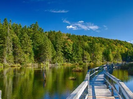 Scarcity Is An Illusion: Awaken Abundance Tuning Forks