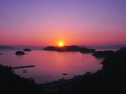 Scarlet To Violet - Rays Of Illumination