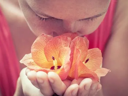 Scent And Sensuality