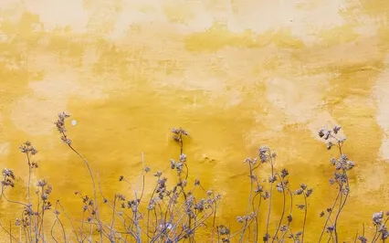 Счастливый Сценарий