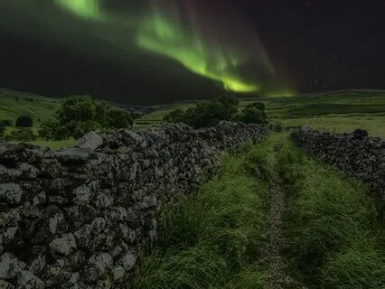 Schlafinduktion | REM Einschlafmusik | 3.2Hz DeltaBrainWaves