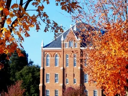 School Of Life Guided Meditation