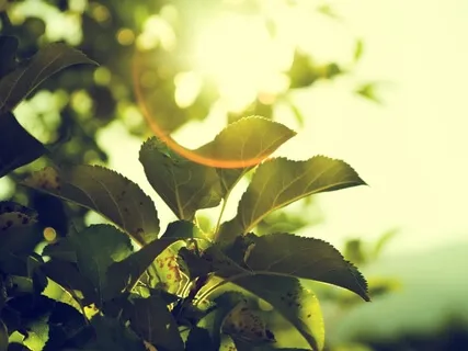 For Teachers: Transition Gently From School To Home