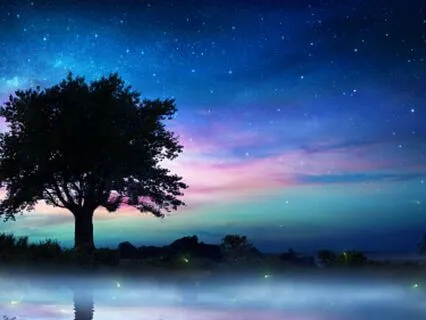 Schumann Resonance Cellular Regeneration Healing Sleep 528hz