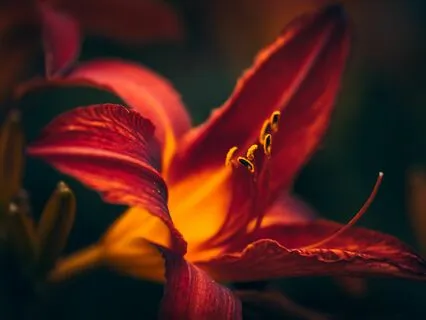 Schumann Resonance For Energy Work & Grounding Practices