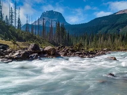 Schumann - 'Träumerei'