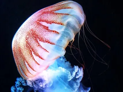 Science Of Your Soul's Work: Time Travel