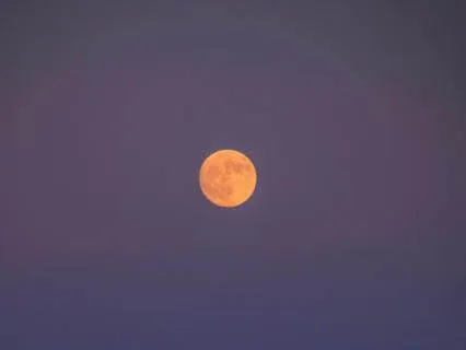 Scorpio Full Flower Moon Practice · May 2026